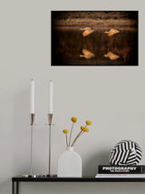 Follow Poster och Canvastavla