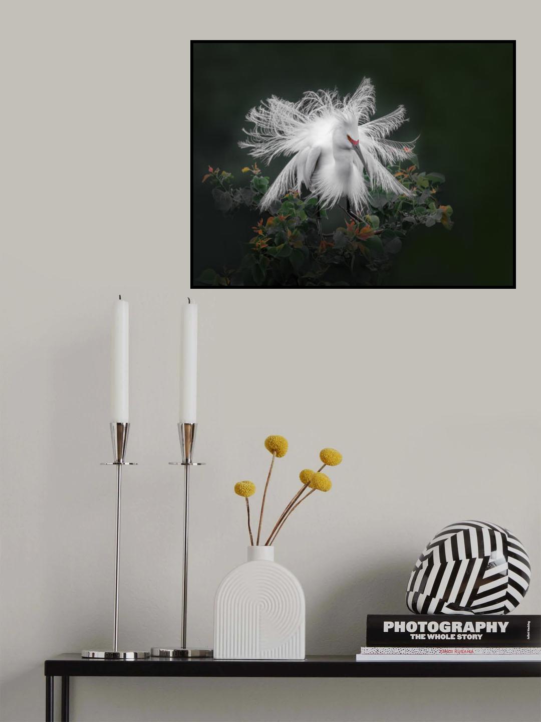 Dressed up Poster och Canvastavla