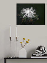 Dressed up Poster och Canvastavla