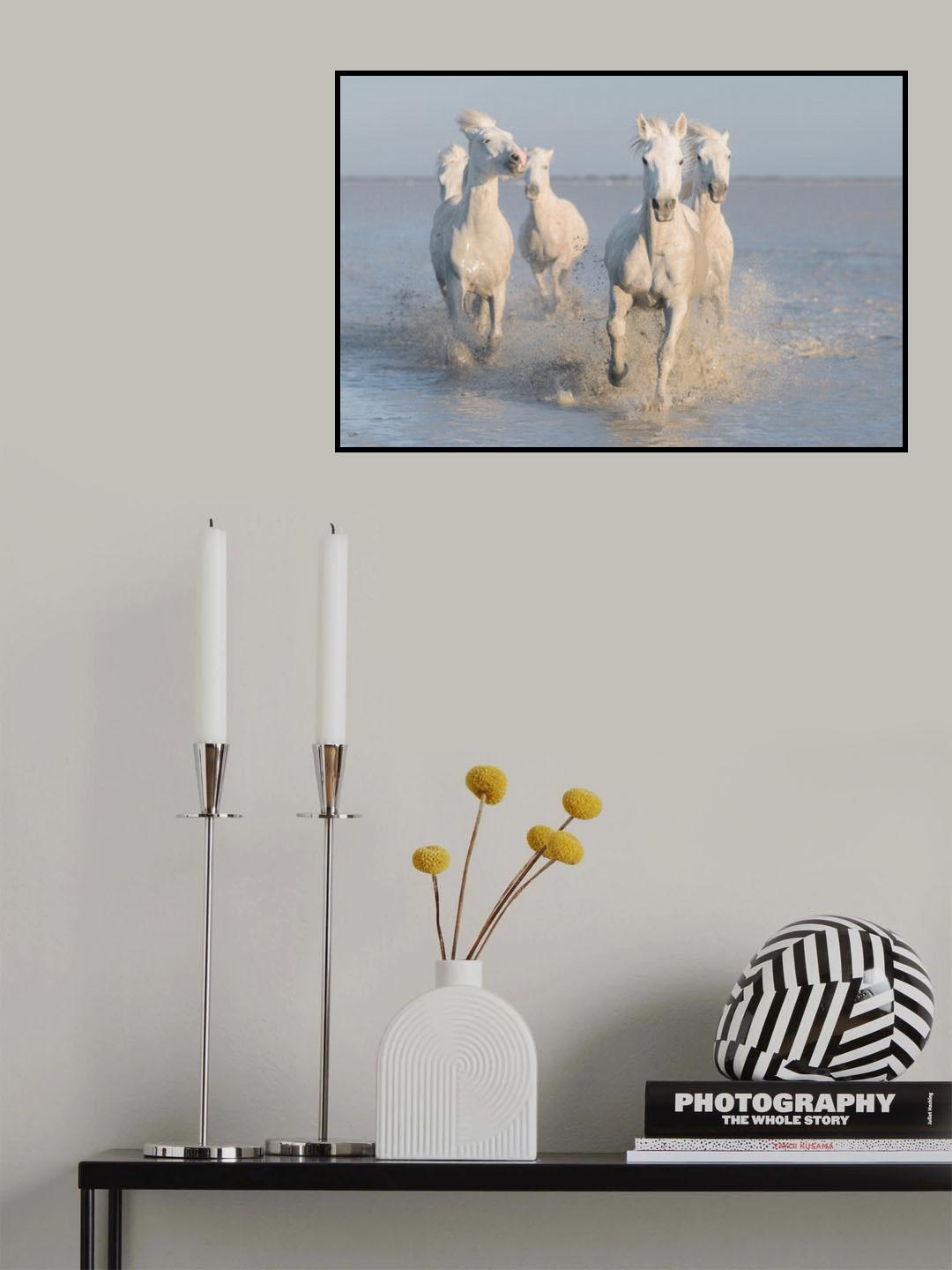 horses Poster och Canvastavla
