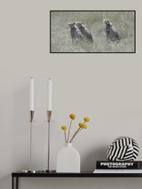 Cheetah Cubs Poster och Canvastavla