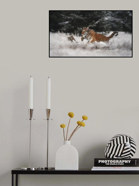Joy on the snow Poster och Canvastavla