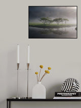 Poster och Canvastavla