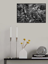 concentration Poster och Canvastavla