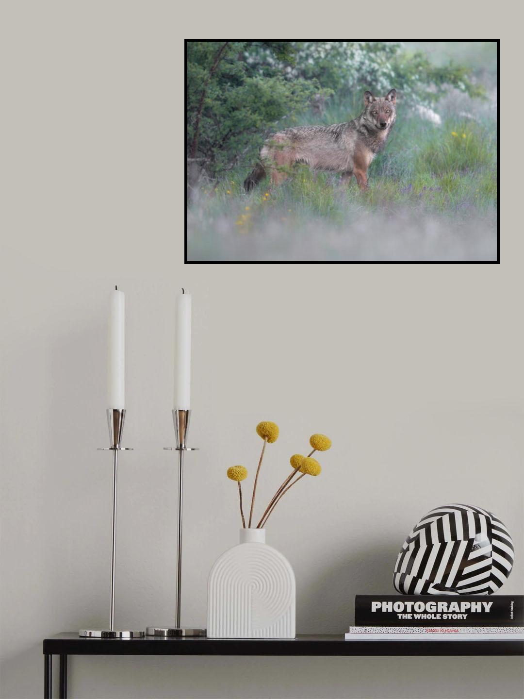A wonderful wild meeting Poster och Canvastavla