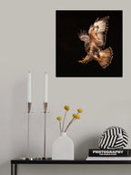 Buzzard going for a catch Poster och Canvastavla