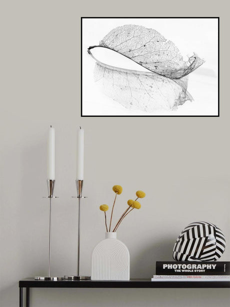 The old leaf Poster och Canvastavla