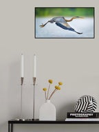 Lanky Poster och Canvastavla