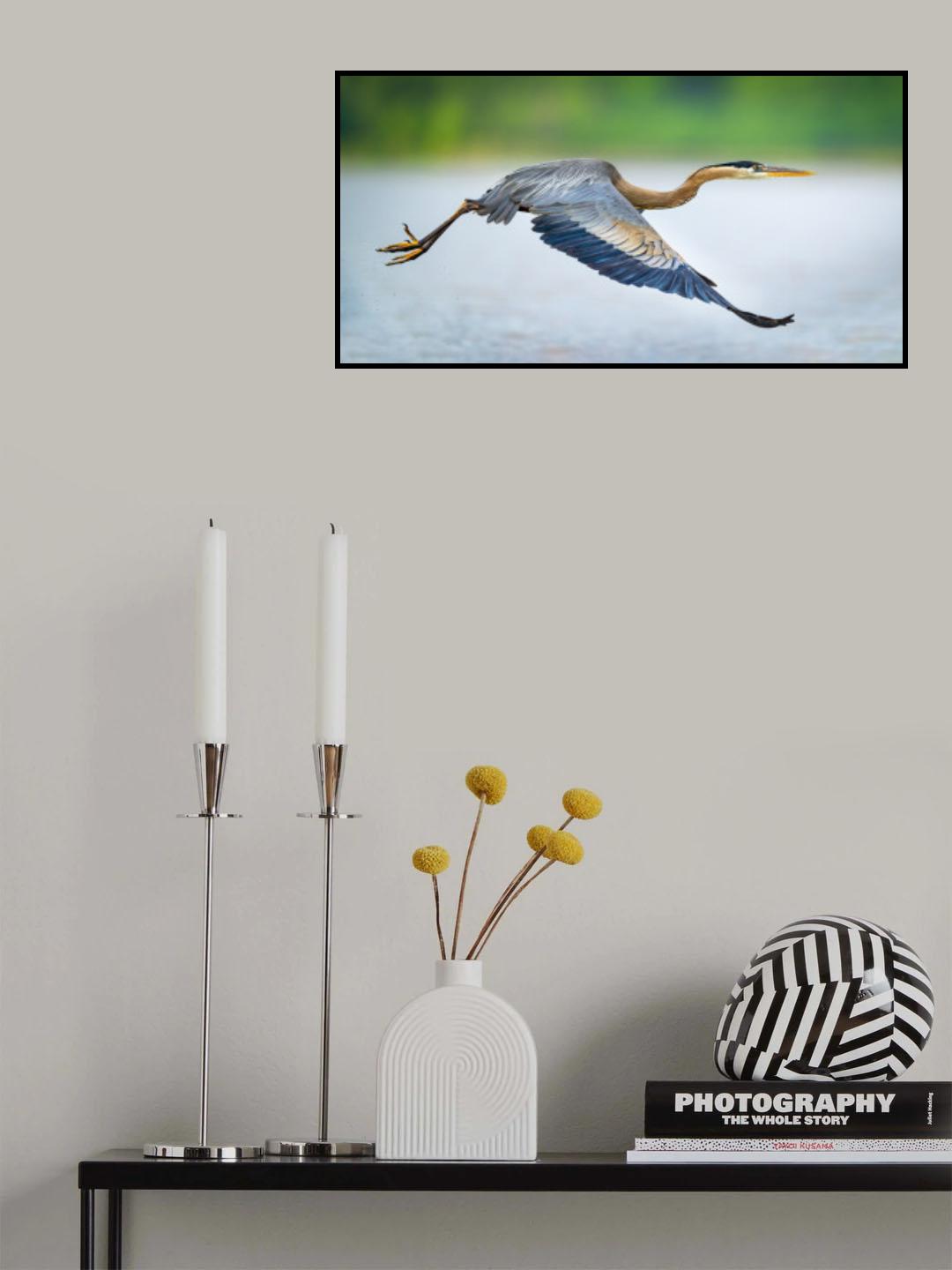 Lanky Poster och Canvastavla