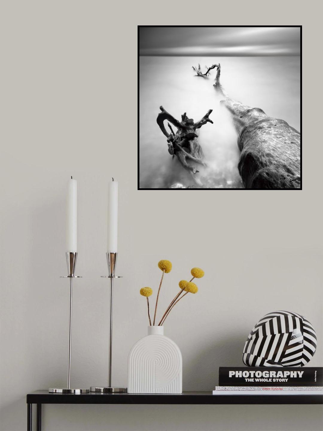 Dragon Poster och Canvastavla