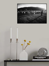 Shepherd Poster och Canvastavla