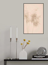 Reed Grass Beige 09 Poster och Canvastavla