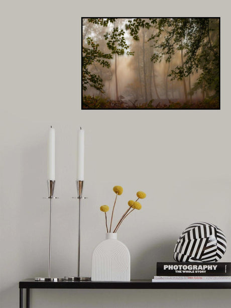 green curtains Poster och Canvastavla