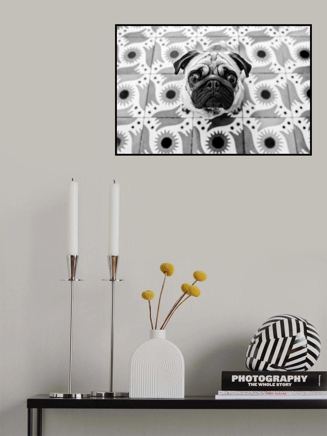 Vudú Poster och Canvastavla