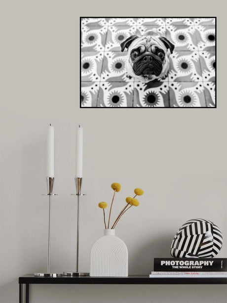 Vudú Poster och Canvastavla