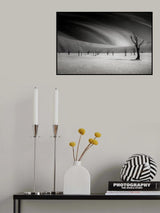 Follow me my friends Poster och Canvastavla