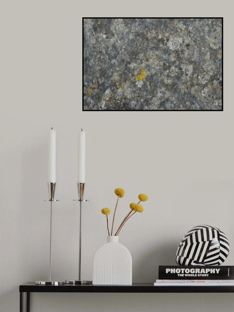 Tex Surface S5 Poster och Canvastavla