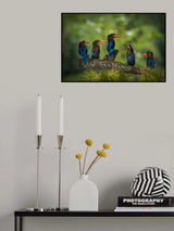 seven brotherhood Poster och Canvastavla