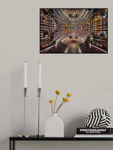 Mirrored Library Poster och Canvastavla