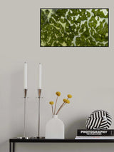 Coastal land Poster och Canvastavla