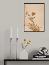 Scrub Warbler Poster och Canvastavla
