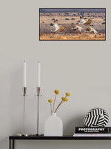 The Chase Poster och Canvastavla