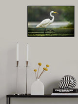 Morning Stroll Poster och Canvastavla