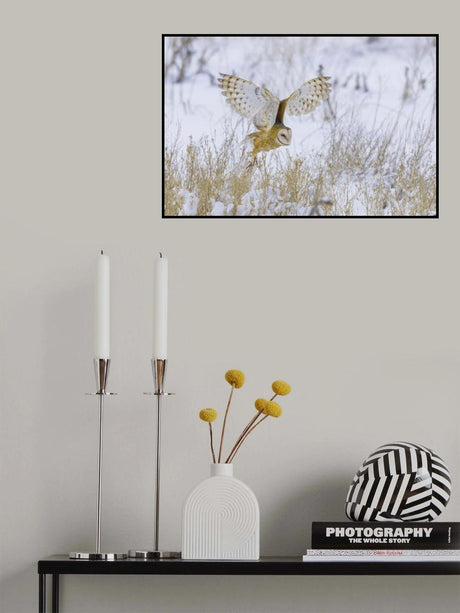 Two folds Poster och Canvastavla
