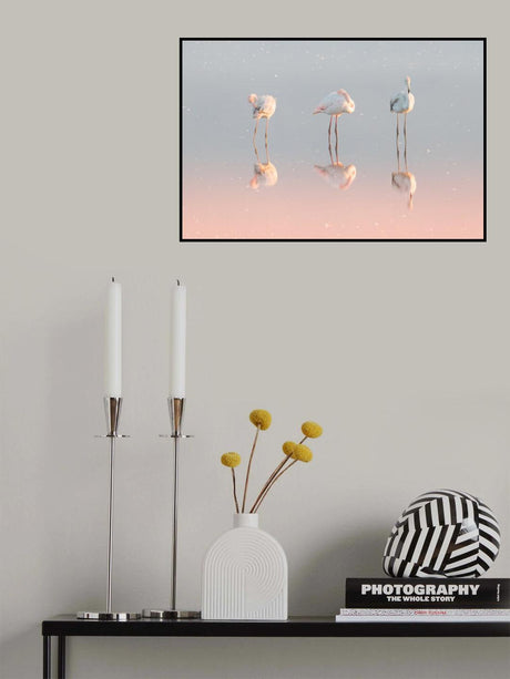 Three flamingos ... Poster och Canvastavla