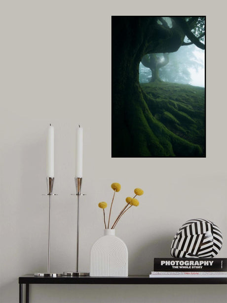 Elderly Poster och Canvastavla