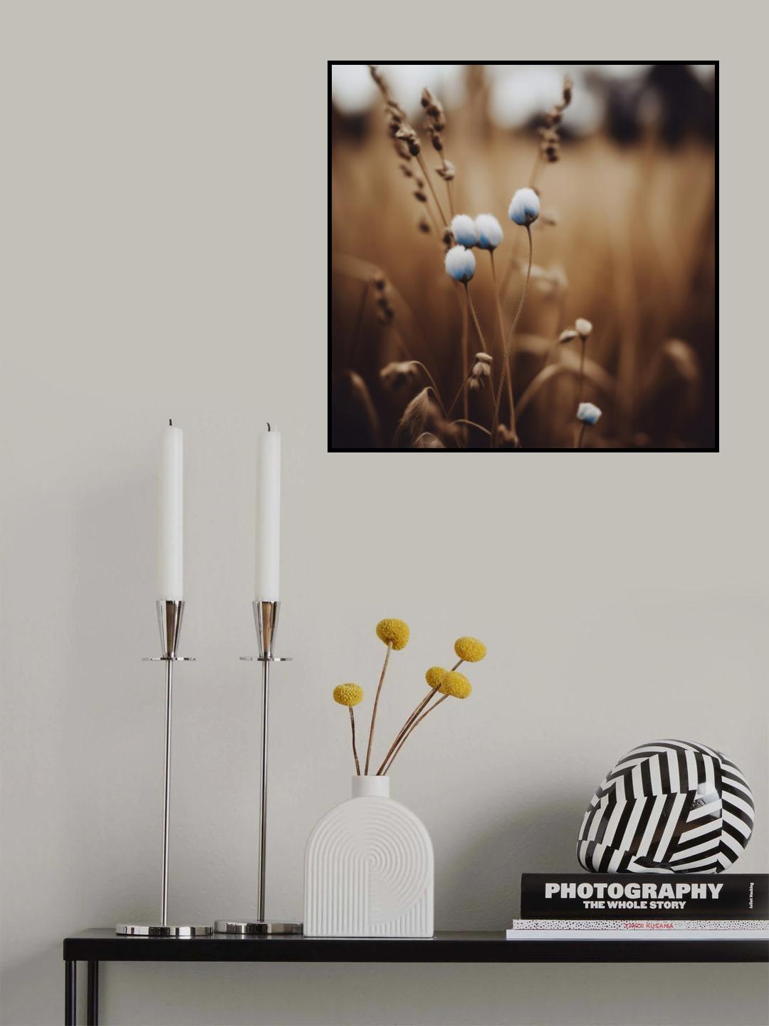Blue Corn Flowers No 5 Poster och Canvastavla