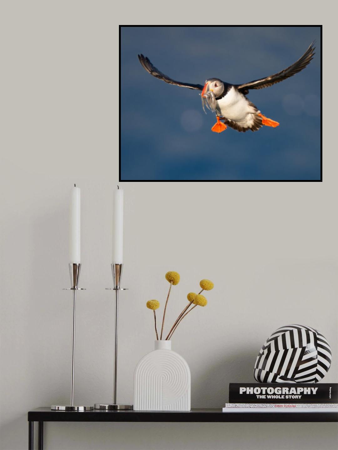 Airbound Poster och Canvastavla