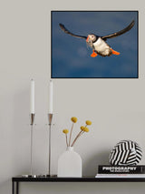 Airbound Poster och Canvastavla