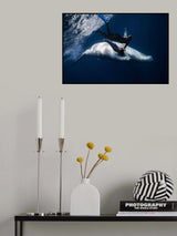 Dancing with whale Poster och Canvastavla