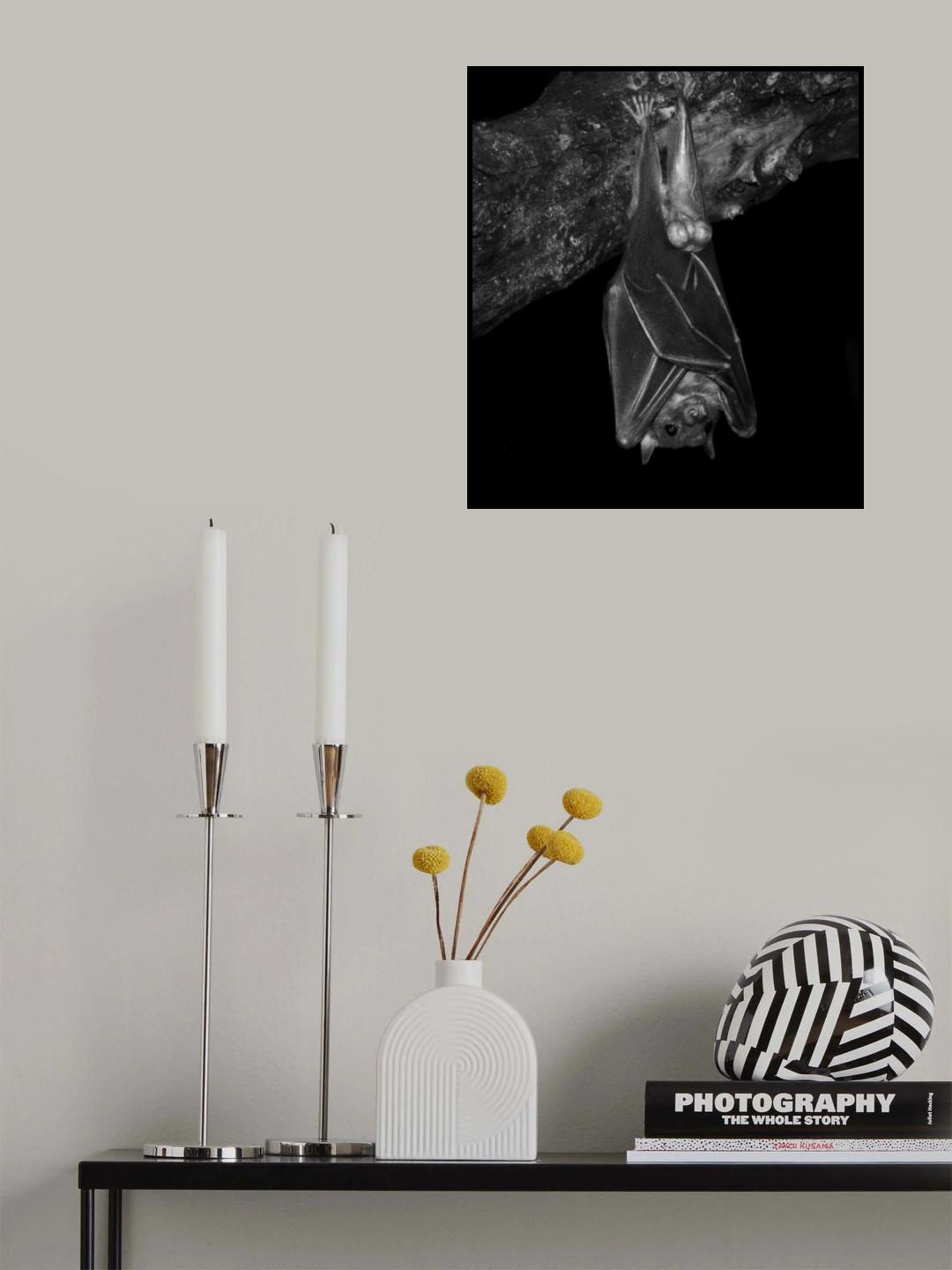 I dream invested Poster och Canvastavla