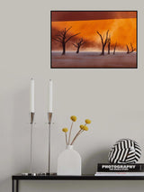 Namibia: The Spirit of Wilderness Poster och Canvastavla