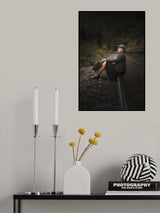 Waiting for the past Poster och Canvastavla