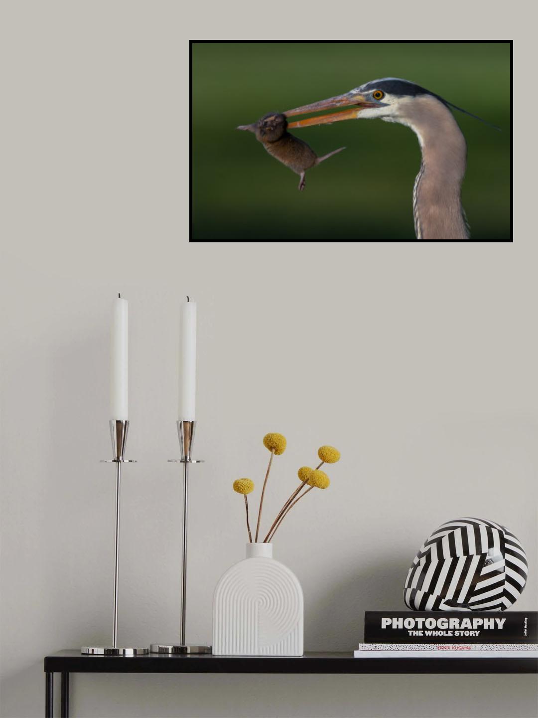 Big Catch Poster och Canvastavla