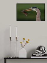 Big Catch Poster och Canvastavla