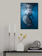 Humpback whale and calf Poster och Canvastavla