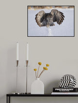 A little Jump Poster och Canvastavla