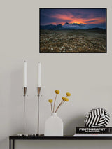 Blooming dawn Poster och Canvastavla