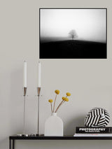 Deep Polarity Poster och Canvastavla