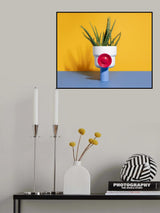 Common Animals 5 Poster och Canvastavla