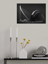 City of science and modernism Poster och Canvastavla