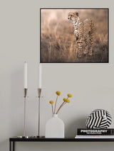 Focus Poster och Canvastavla