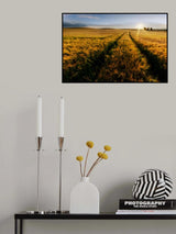 country-side Poster och Canvastavla