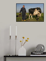 Klaas Vos milks by hand Poster och Canvastavla