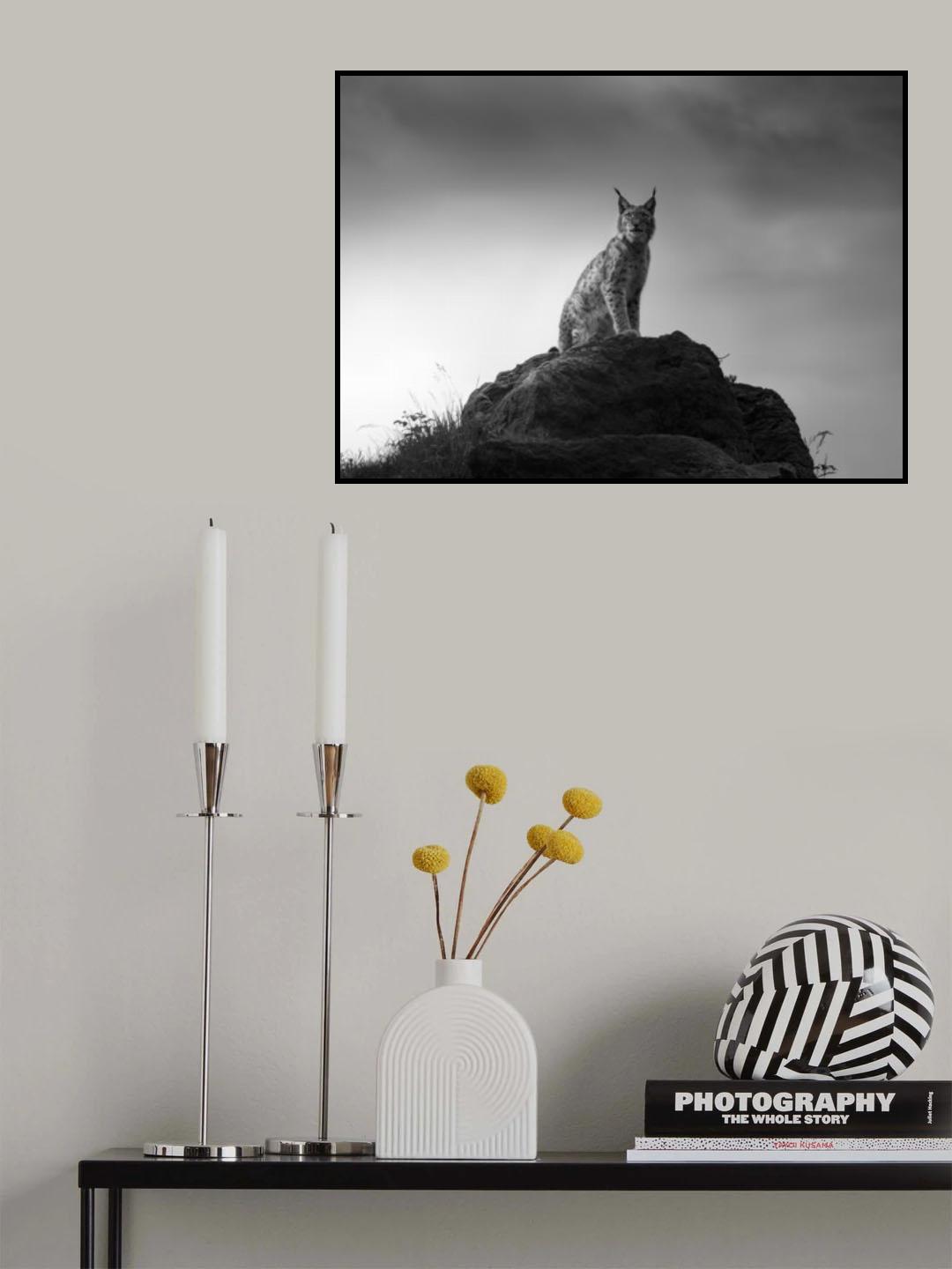 Lynx drama. Poster och Canvastavla