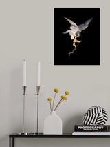 舞蹈 Poster och Canvastavla